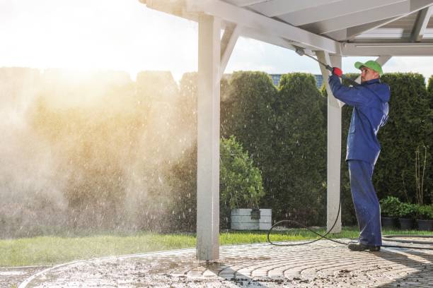 Best Soft Washing  in Gorman, TX
